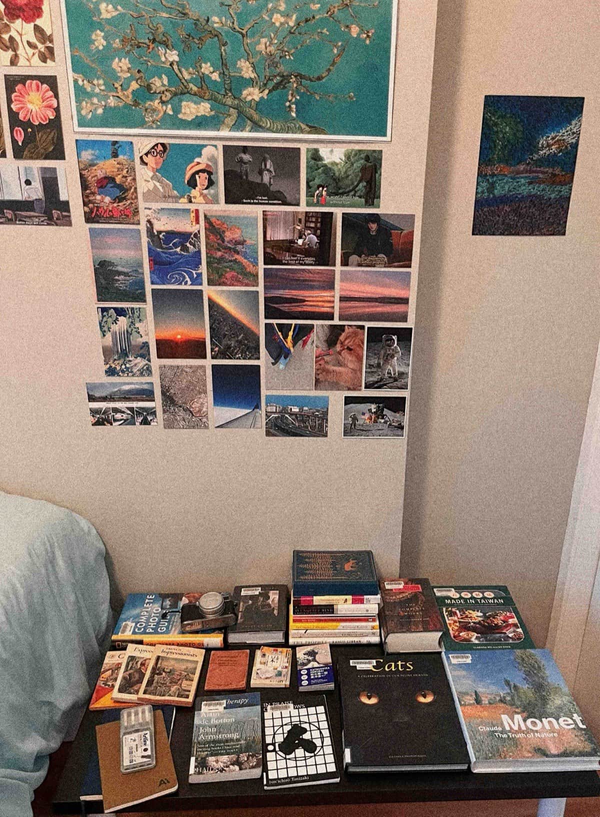 mini home library